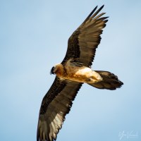 6aa60670-8643-4d11-ab19-609f6d1680d9_rw_1920